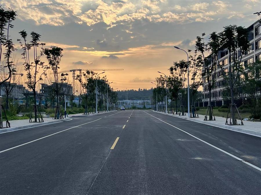 AG Club | The Originator of Live Casino