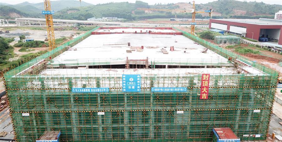 AG Club | The Originator of Live Casino