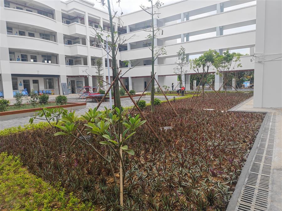 AG Club | The Originator of Live Casino