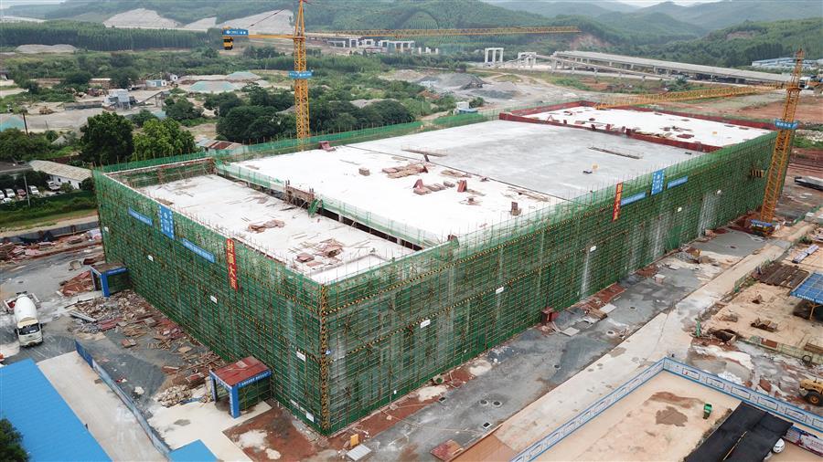 AG Club | The Originator of Live Casino