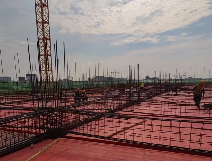 AG Club | The Originator of Live Casino