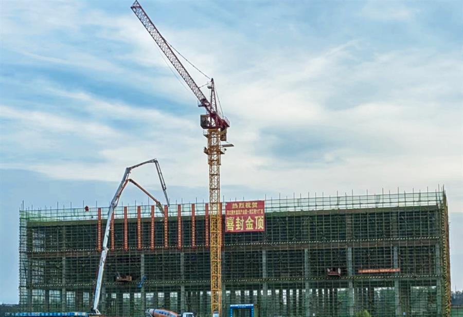 AG Club | The Originator of Live Casino