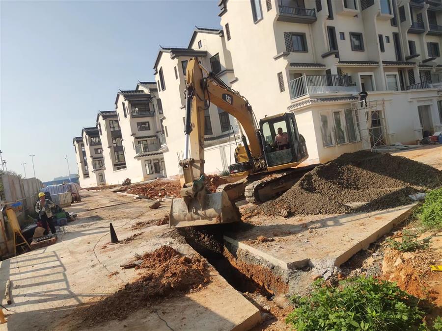 AG Club | The Originator of Live Casino