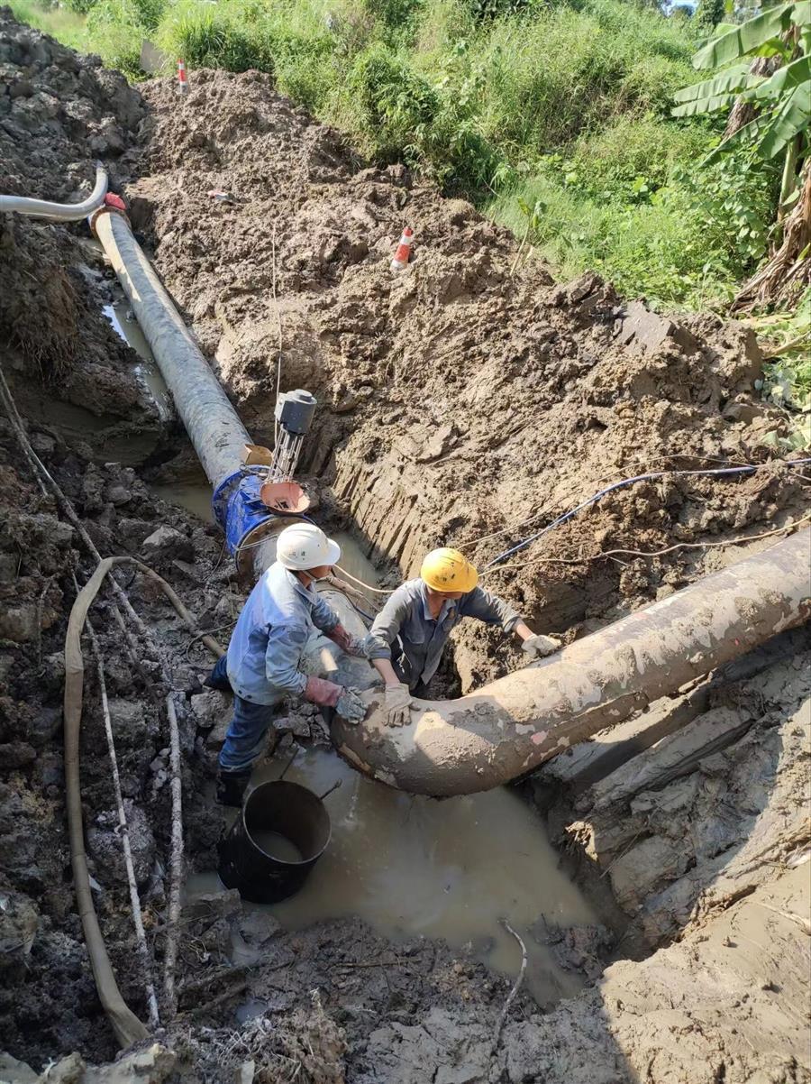 AG Club | The Originator of Live Casino