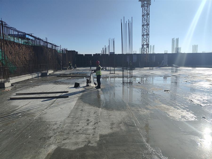 AG Club | The Originator of Live Casino