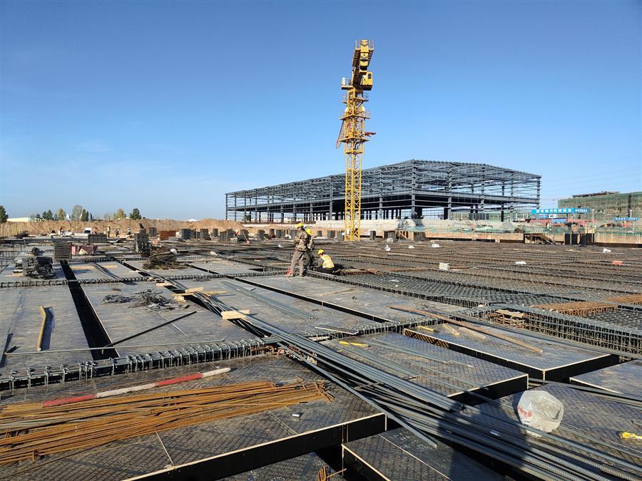 AG Club | The Originator of Live Casino