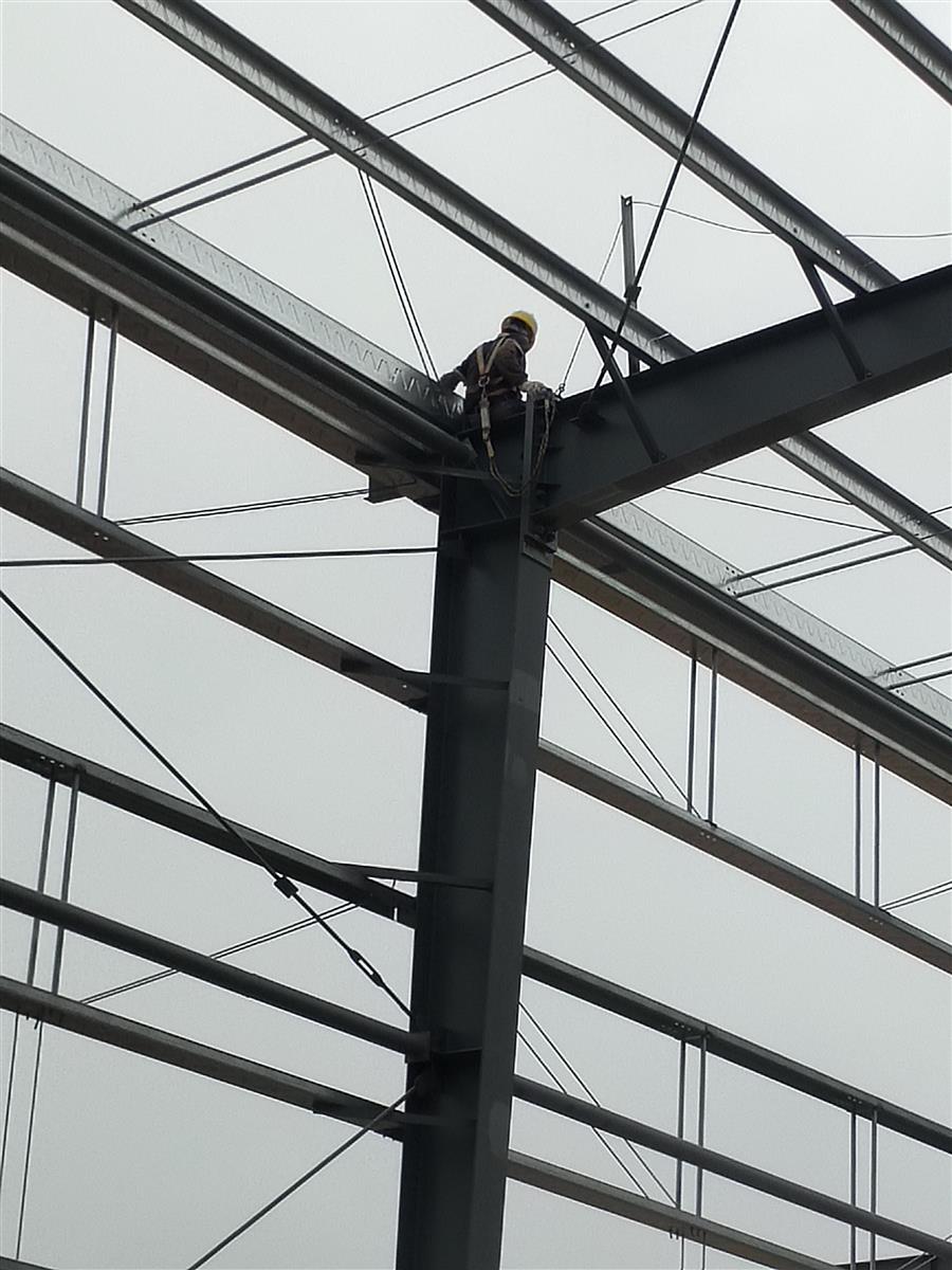 AG Club | The Originator of Live Casino