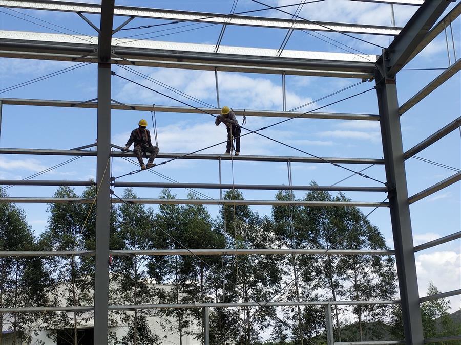 AG Club | The Originator of Live Casino