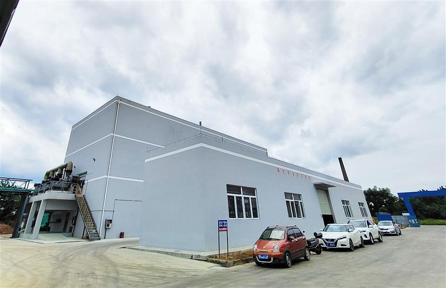 AG Club | The Originator of Live Casino