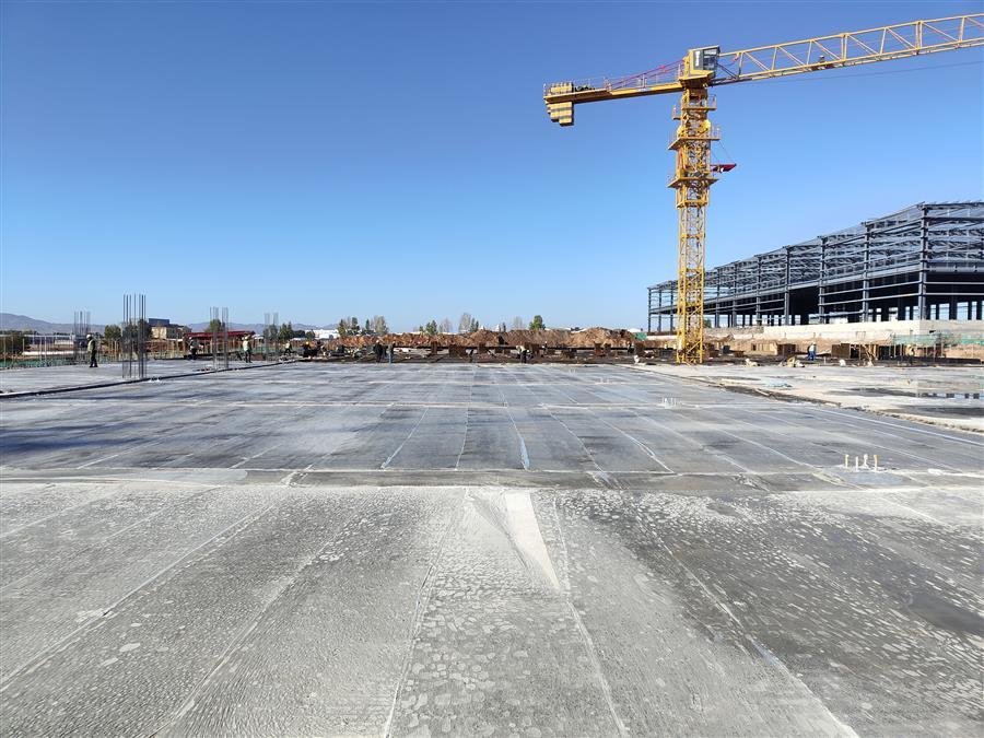 AG Club | The Originator of Live Casino