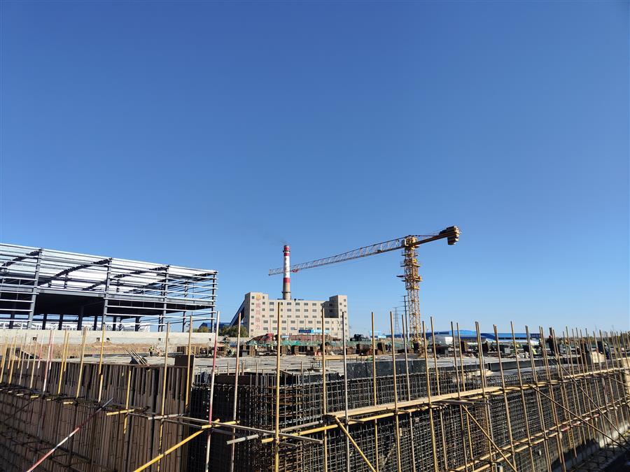 AG Club | The Originator of Live Casino