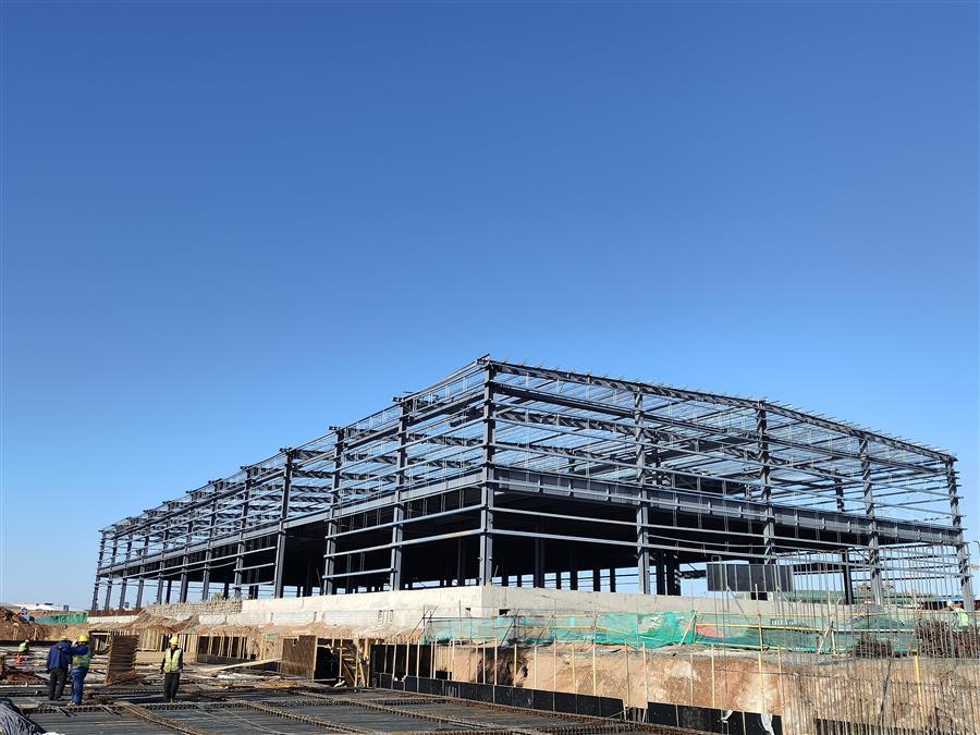 AG Club | The Originator of Live Casino