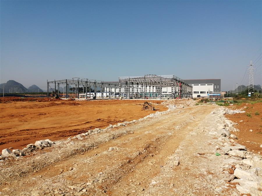 AG Club | The Originator of Live Casino