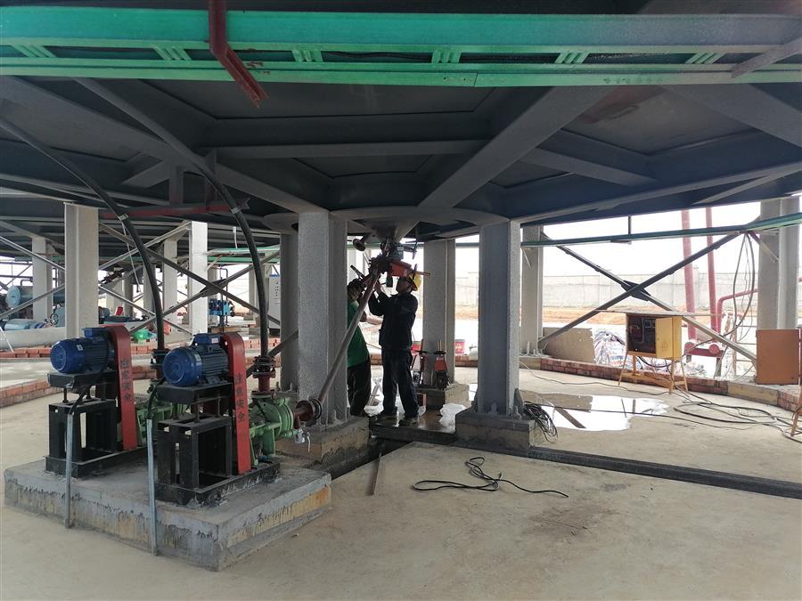 AG Club | The Originator of Live Casino