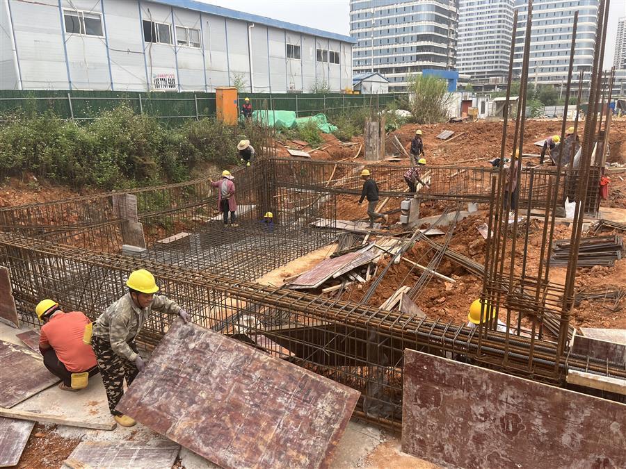 AG Club | The Originator of Live Casino