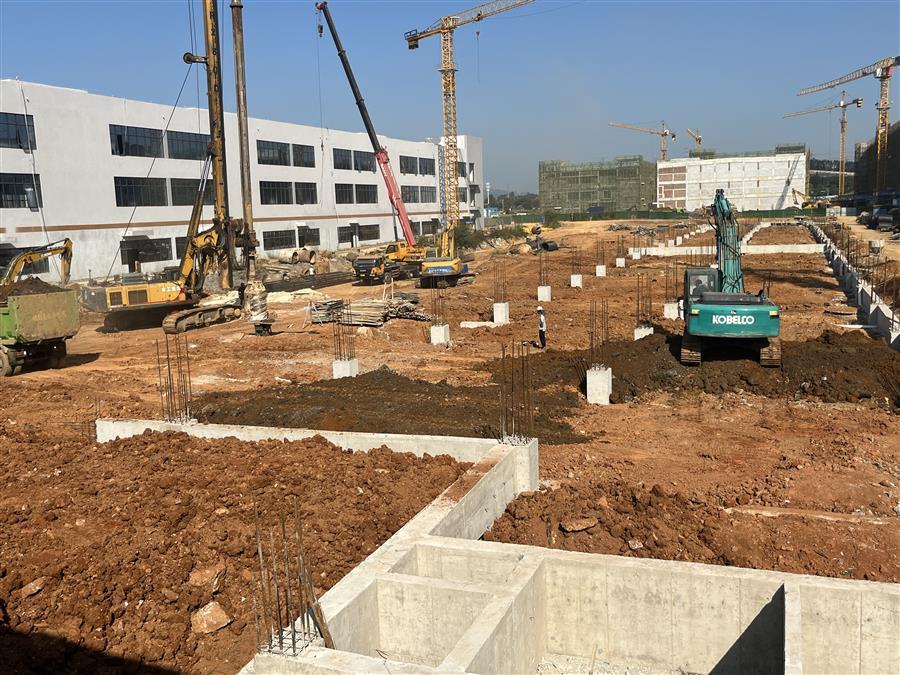 AG Club | The Originator of Live Casino