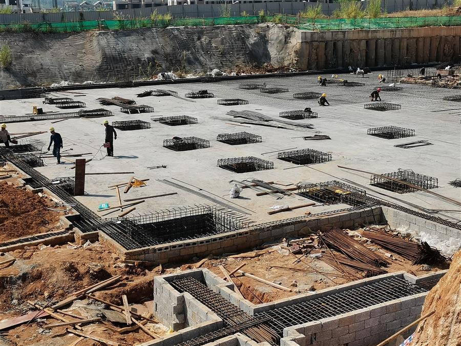 AG Club | The Originator of Live Casino