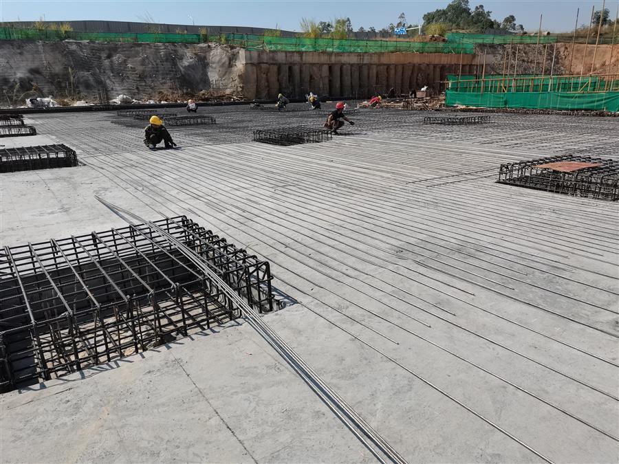 AG Club | The Originator of Live Casino