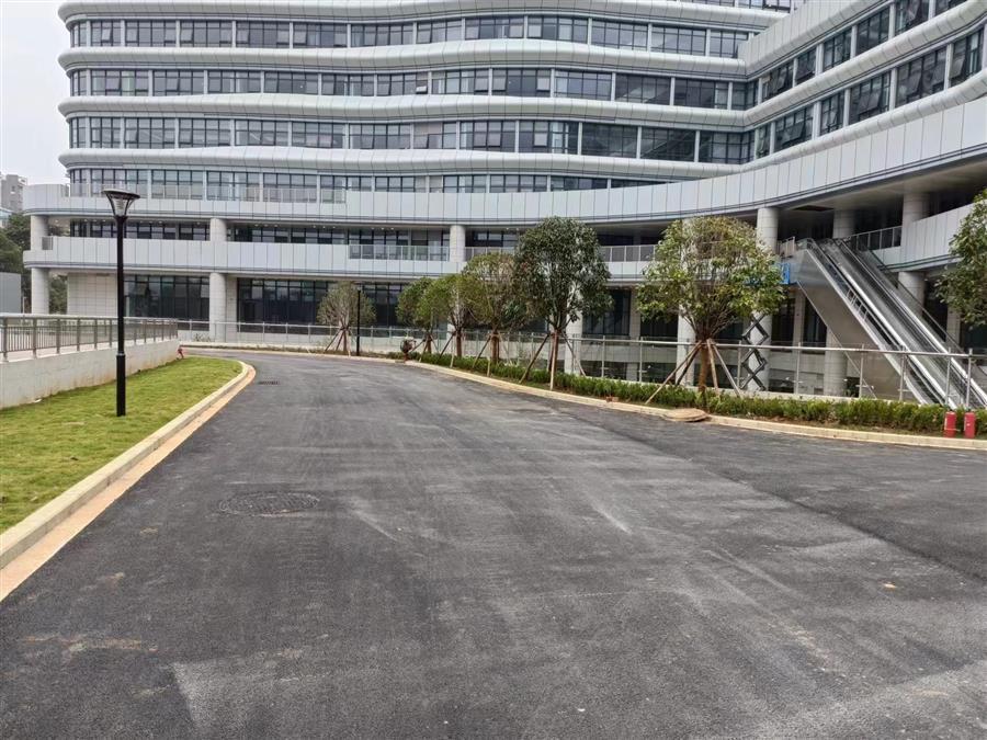 AG Club | The Originator of Live Casino