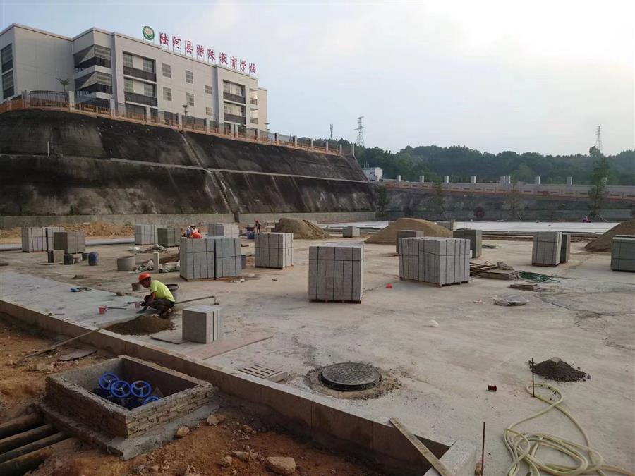 AG Club | The Originator of Live Casino