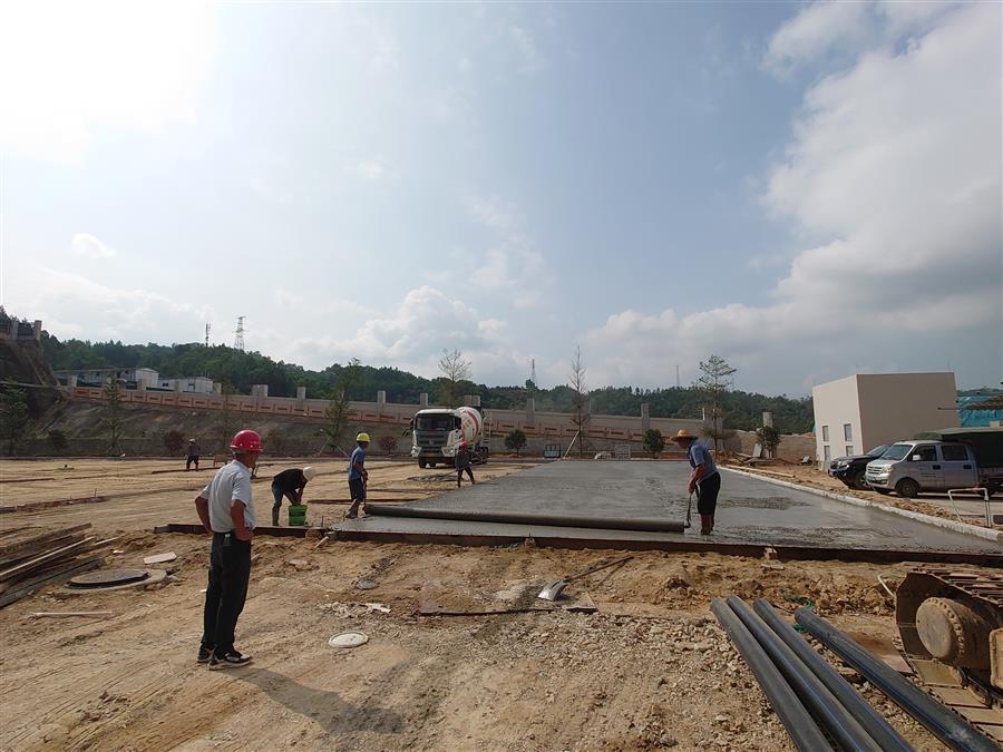 AG Club | The Originator of Live Casino