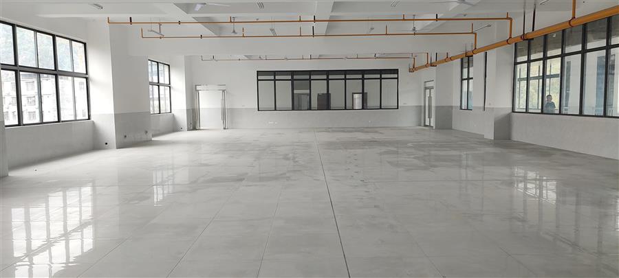 AG Club | The Originator of Live Casino