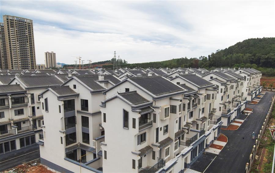 AG Club | The Originator of Live Casino