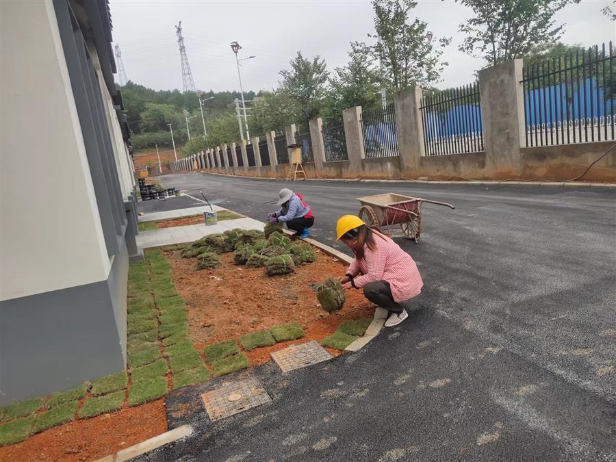 AG Club | The Originator of Live Casino