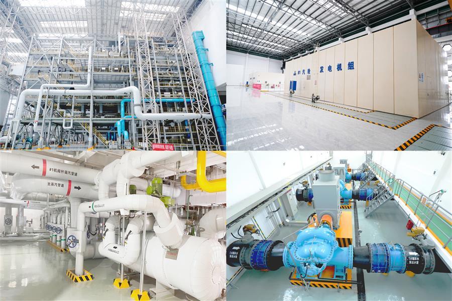 AG Club | The Originator of Live Casino