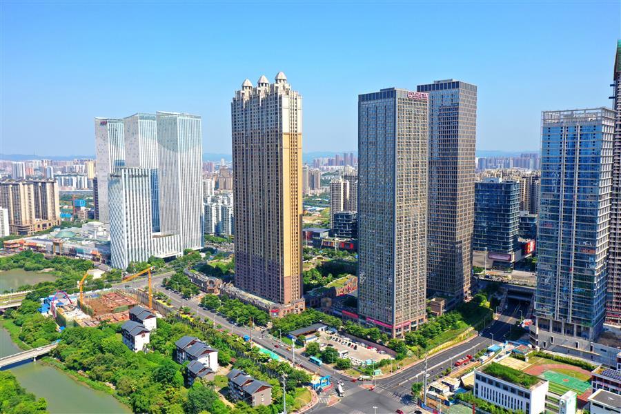 AG Club | The Originator of Live Casino