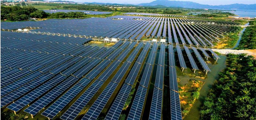 AG Club | The Originator of Live Casino