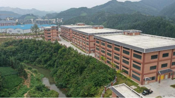 AG Club | The Originator of Live Casino