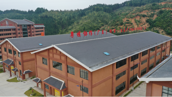 AG Club | The Originator of Live Casino