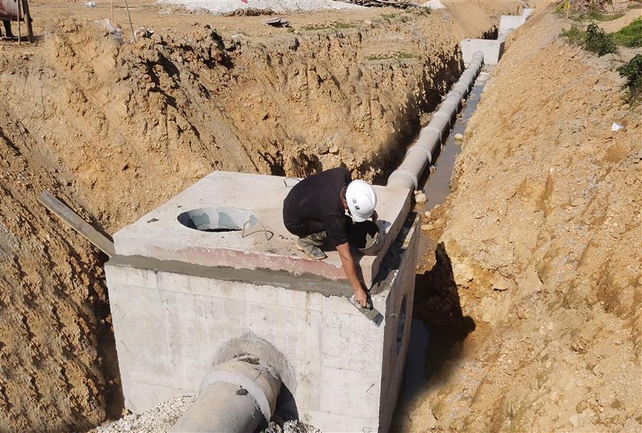 AG Club | The Originator of Live Casino