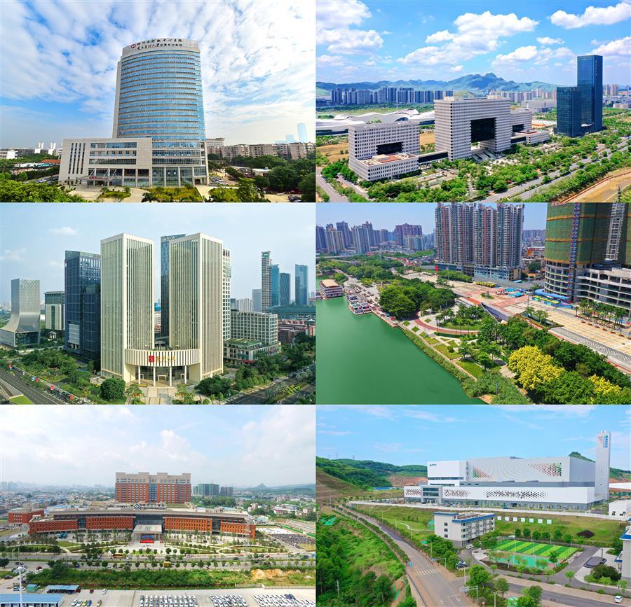 AG Club | The Originator of Live Casino