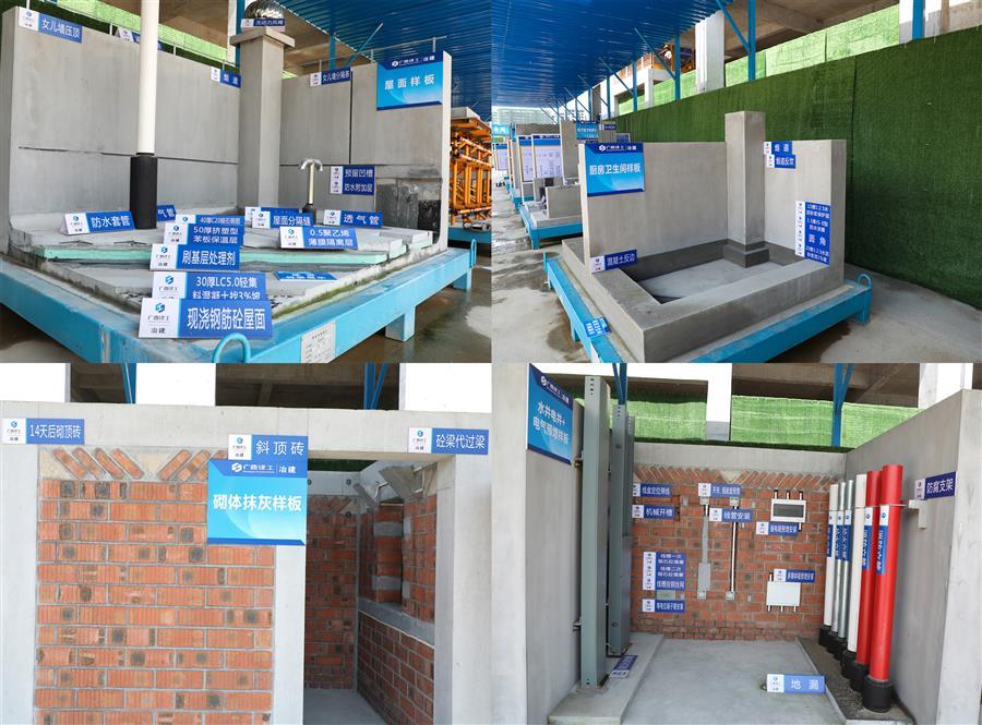 AG Club | The Originator of Live Casino