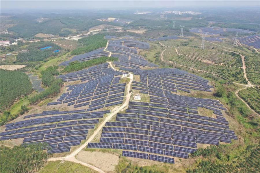 AG Club | The Originator of Live Casino