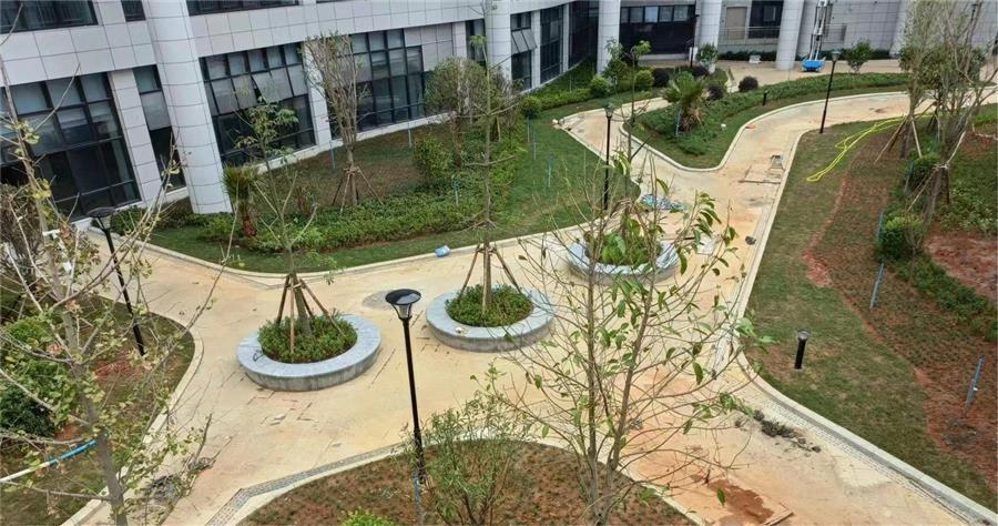 AG Club | The Originator of Live Casino