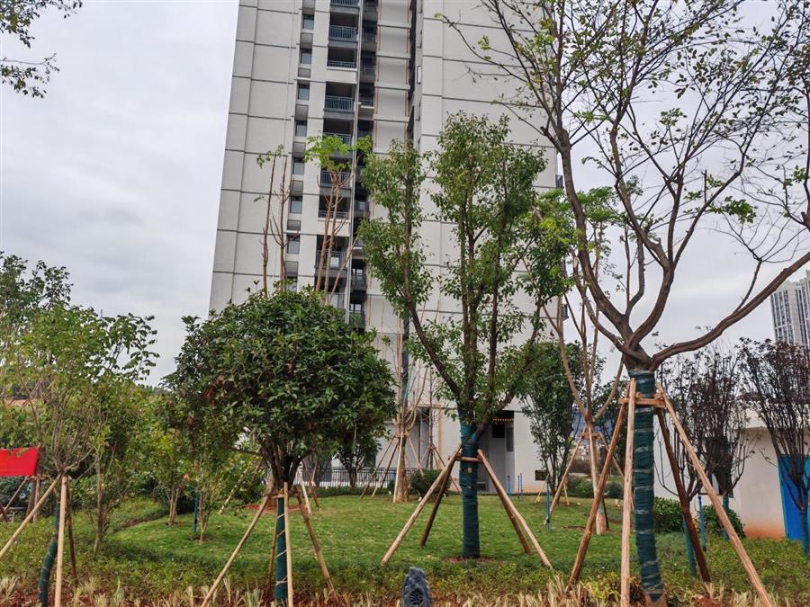 AG Club | The Originator of Live Casino