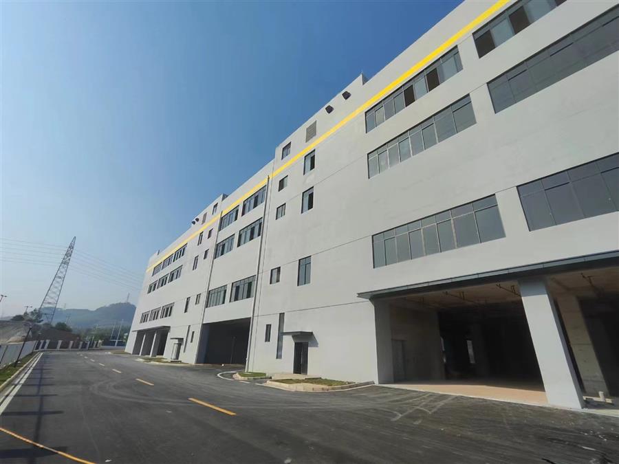 AG Club | The Originator of Live Casino