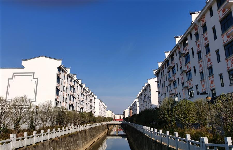 AG Club | The Originator of Live Casino