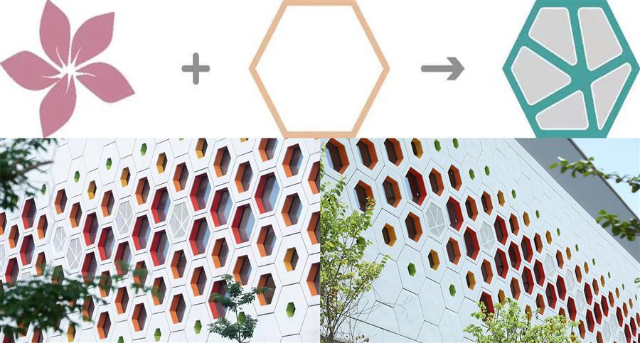 AG Club | The Originator of Live Casino