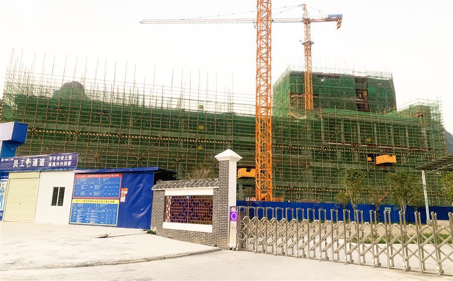 AG Club | The Originator of Live Casino