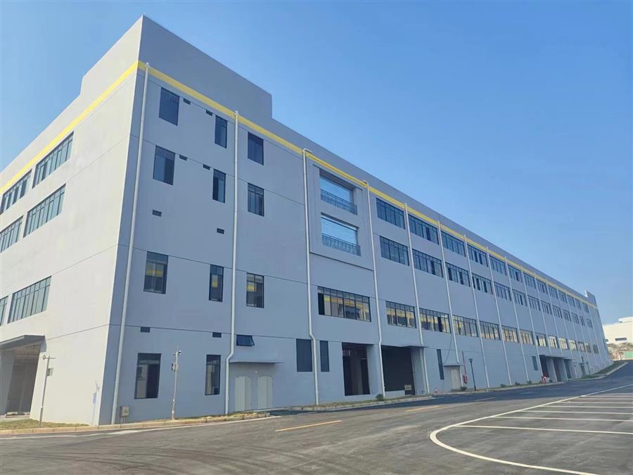 AG Club | The Originator of Live Casino