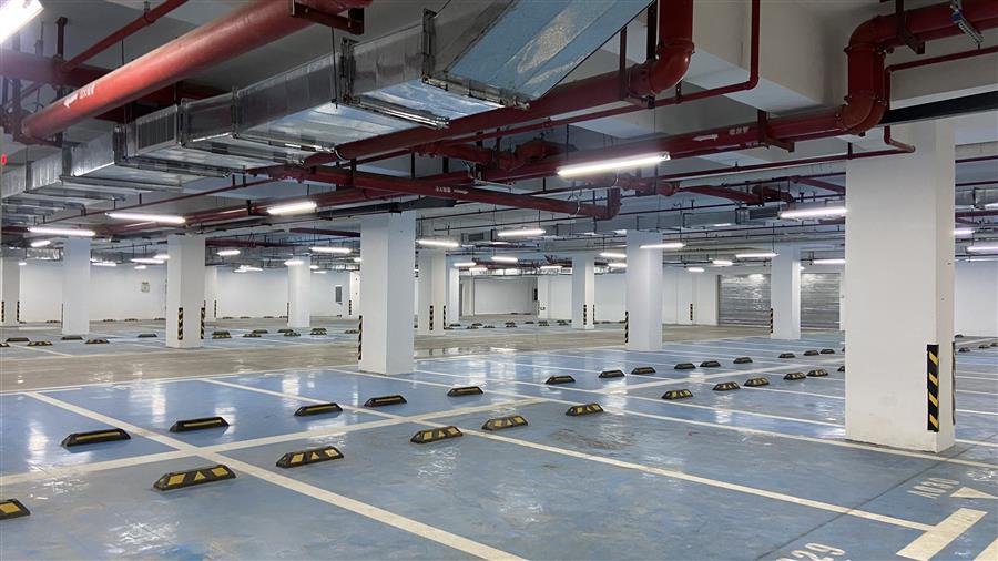 AG Club | The Originator of Live Casino