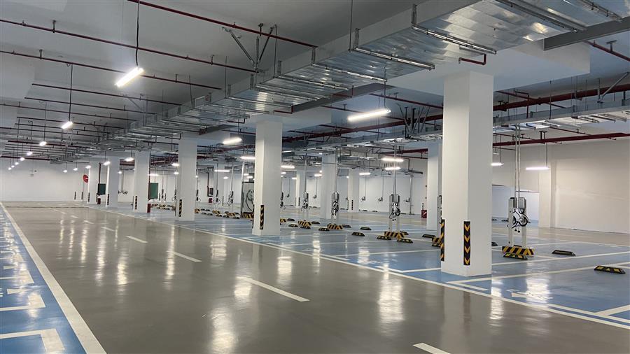 AG Club | The Originator of Live Casino