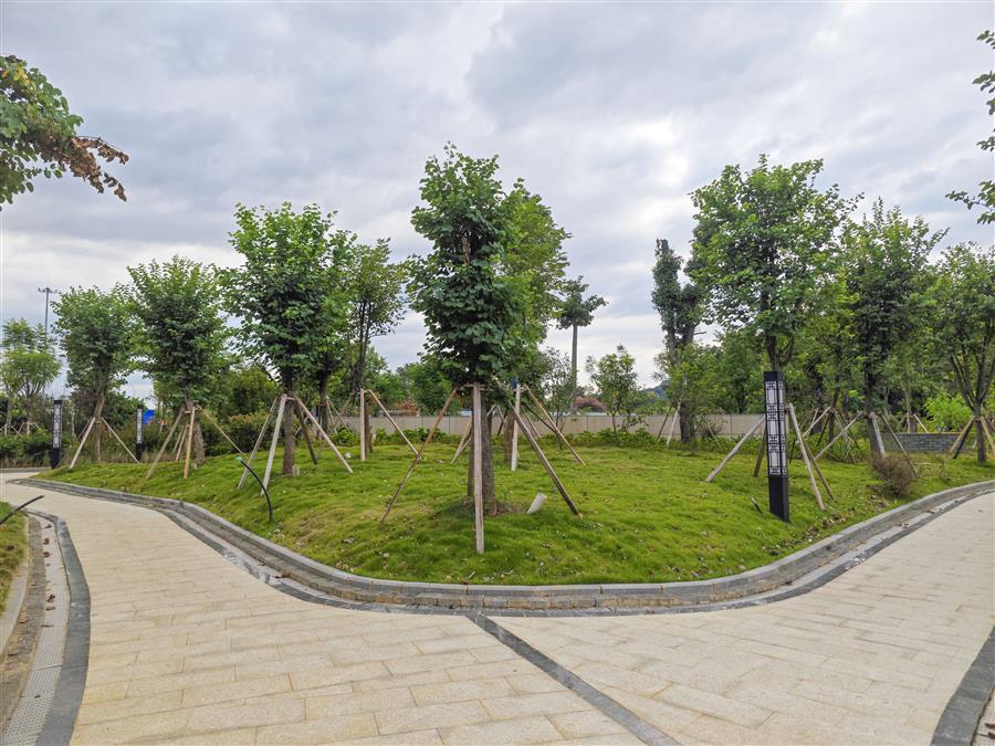 AG Club | The Originator of Live Casino