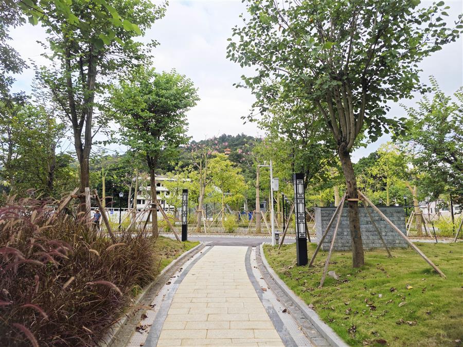 AG Club | The Originator of Live Casino