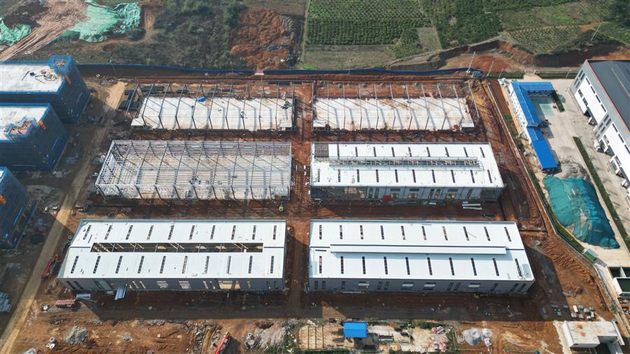 AG Club | The Originator of Live Casino