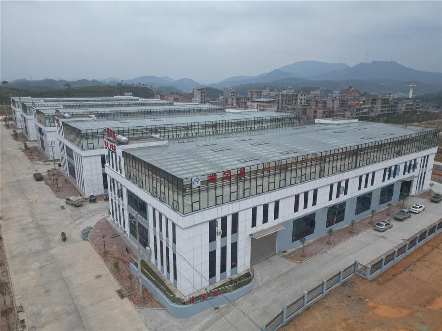 AG Club | The Originator of Live Casino